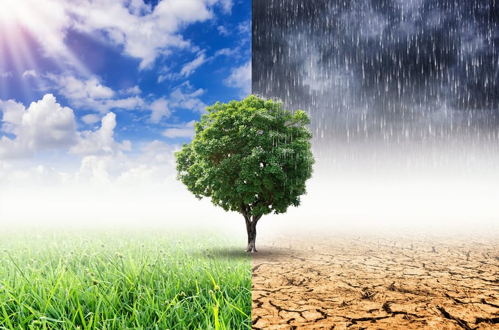 A Global Pandemic Didn’t Stop this Annual Event: Climate Week 2020